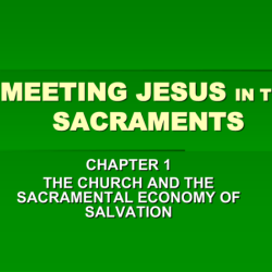 Meeting jesus in the sacraments book