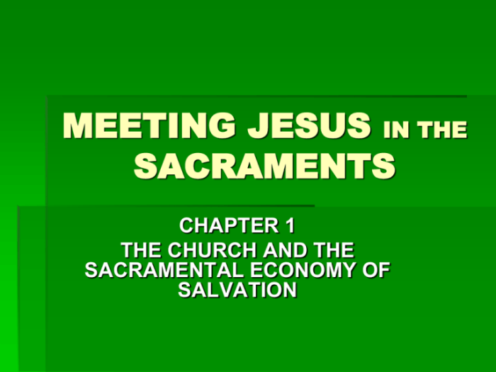 Meeting jesus in the sacraments book