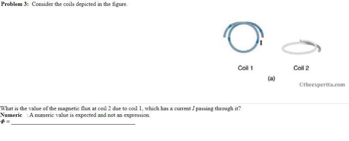 Consider the coils depicted in the figure.