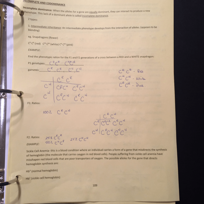 Mr friedhoff mendelian genetics packet