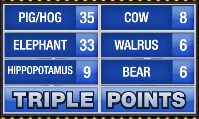 Family feud contestant animal funny