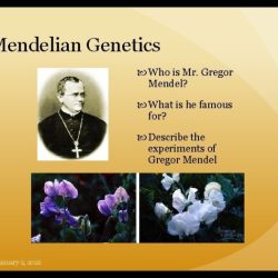 Genetics medical mendelian transmission ed 1st