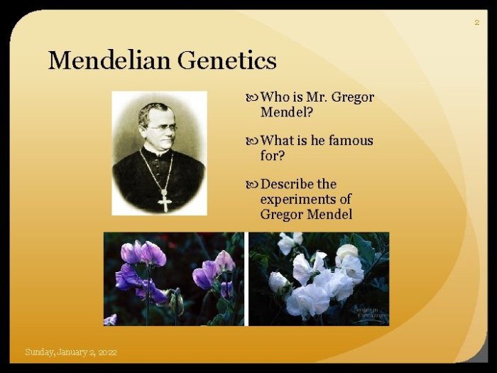 Genetics medical mendelian transmission ed 1st