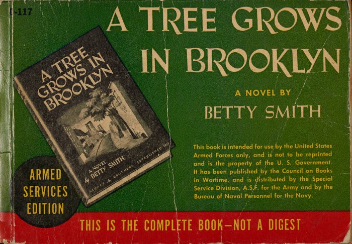 A tree grows in brooklyn discussion questions