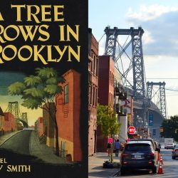 A tree grows in brooklyn discussion questions