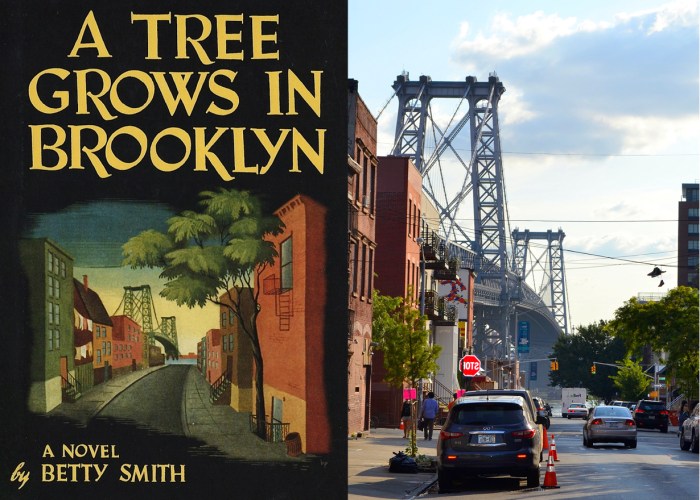 A tree grows in brooklyn discussion questions